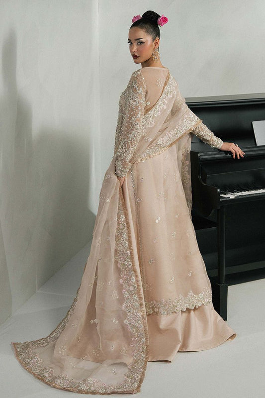 Khakaa Alicia Style by MAIRAZ — back view of organza shirt, sleeves and ornate dupatta pallu