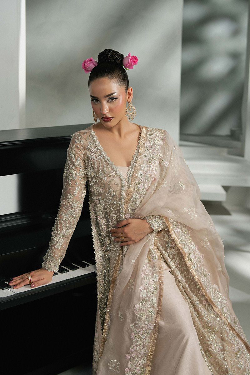 Khakaa Alicia Style by MAIRAZ — closer view of neckline, embellished sleeves and dupatta border