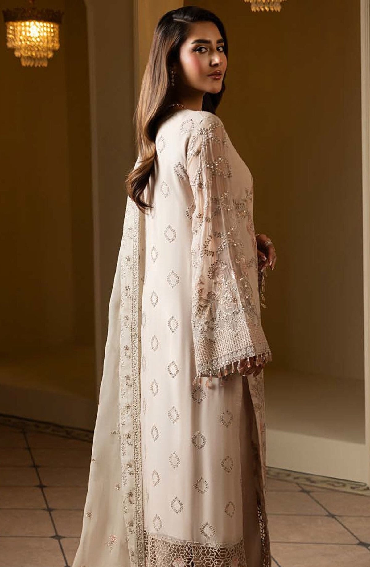 Aashnai style long shirt back and sleeve detailing