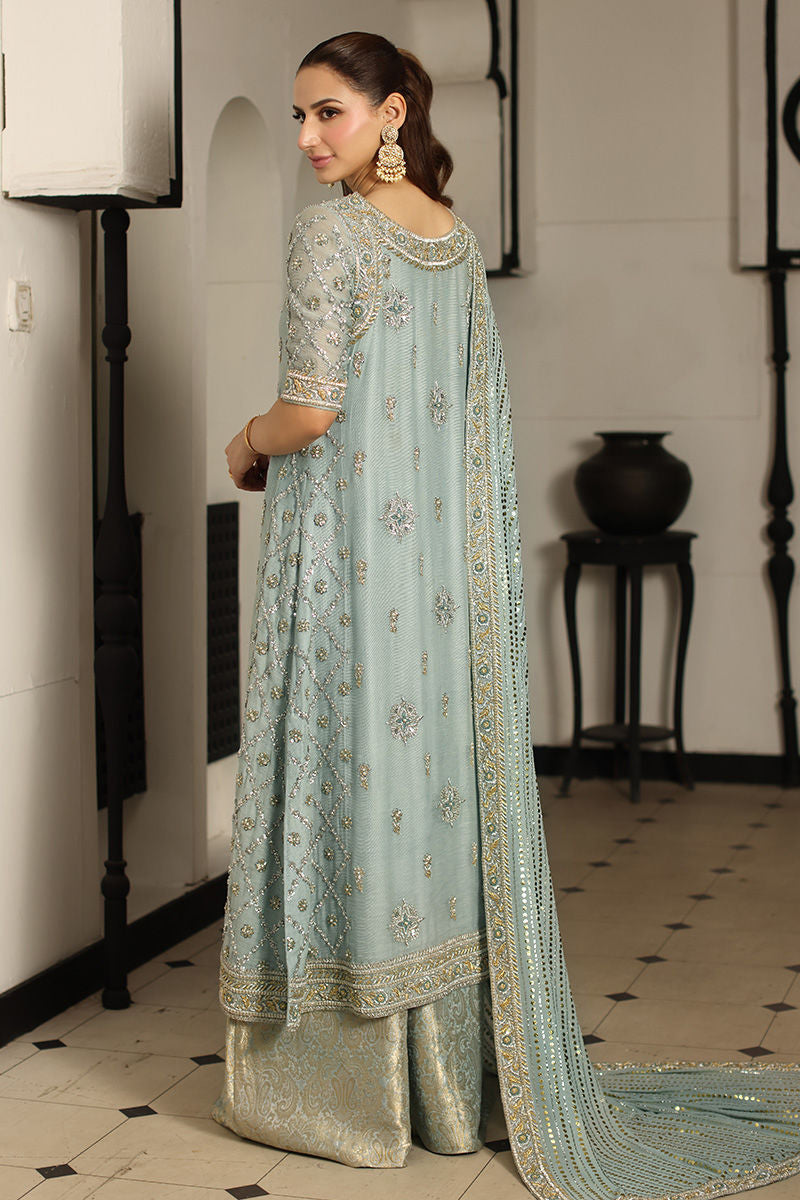 Buttercup Blue, made by MAIRAZ — full-length back view showing shirt motifs and the trailing dupatta