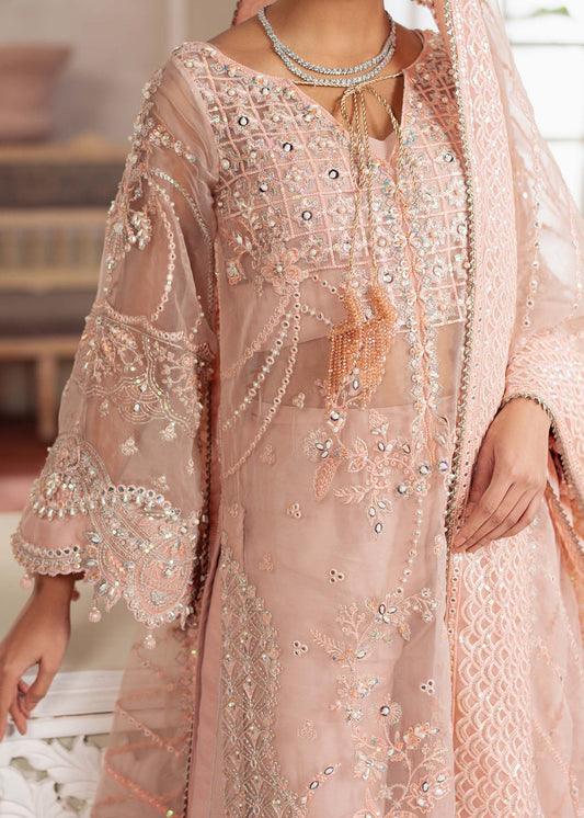 Chantilly, made by MAIRAZ — peach pink long shirt, sleeve and front embroidery detail