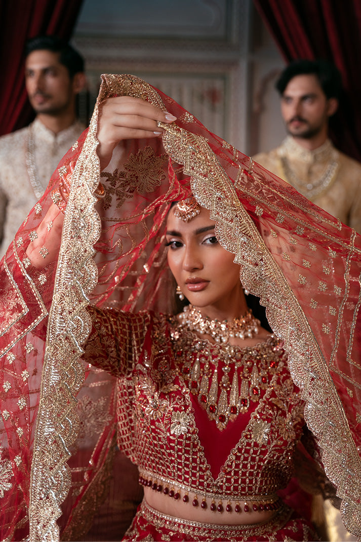 IB-54 Zeenat red maxi / lehenga choli, reference outfit photograph 6 — Made by Mairaz reproduction