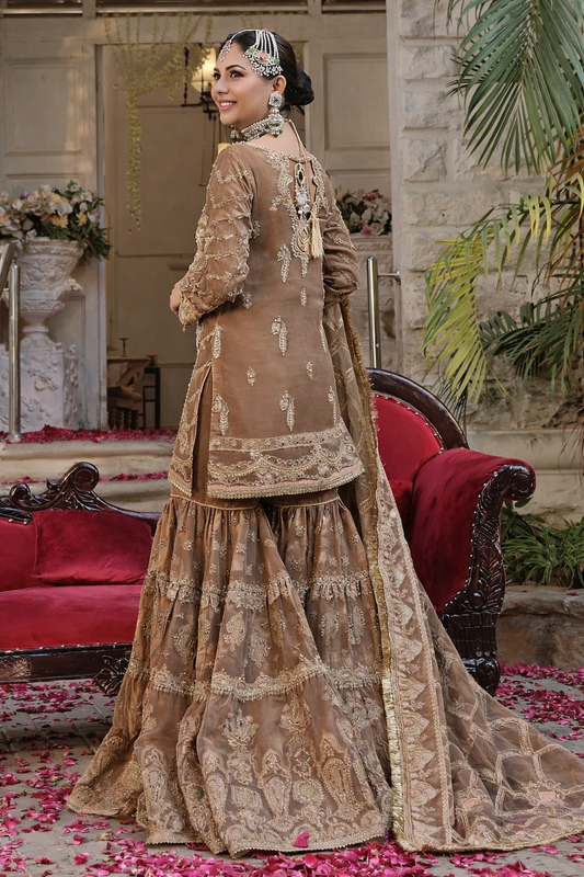 Naqshi – Organza Style — source-design reference, additional view 2