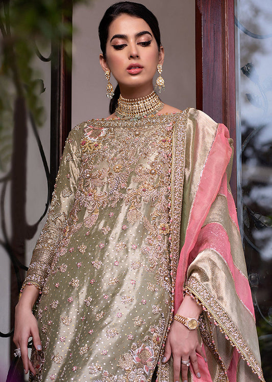 Sara Rohale Asghar – Double Zari Style — source-design reference, additional view 2