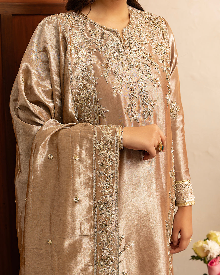 Uswah, made by MAIRAZ — close-up of the embroidered neckline, bodice, cuff and dupatta border