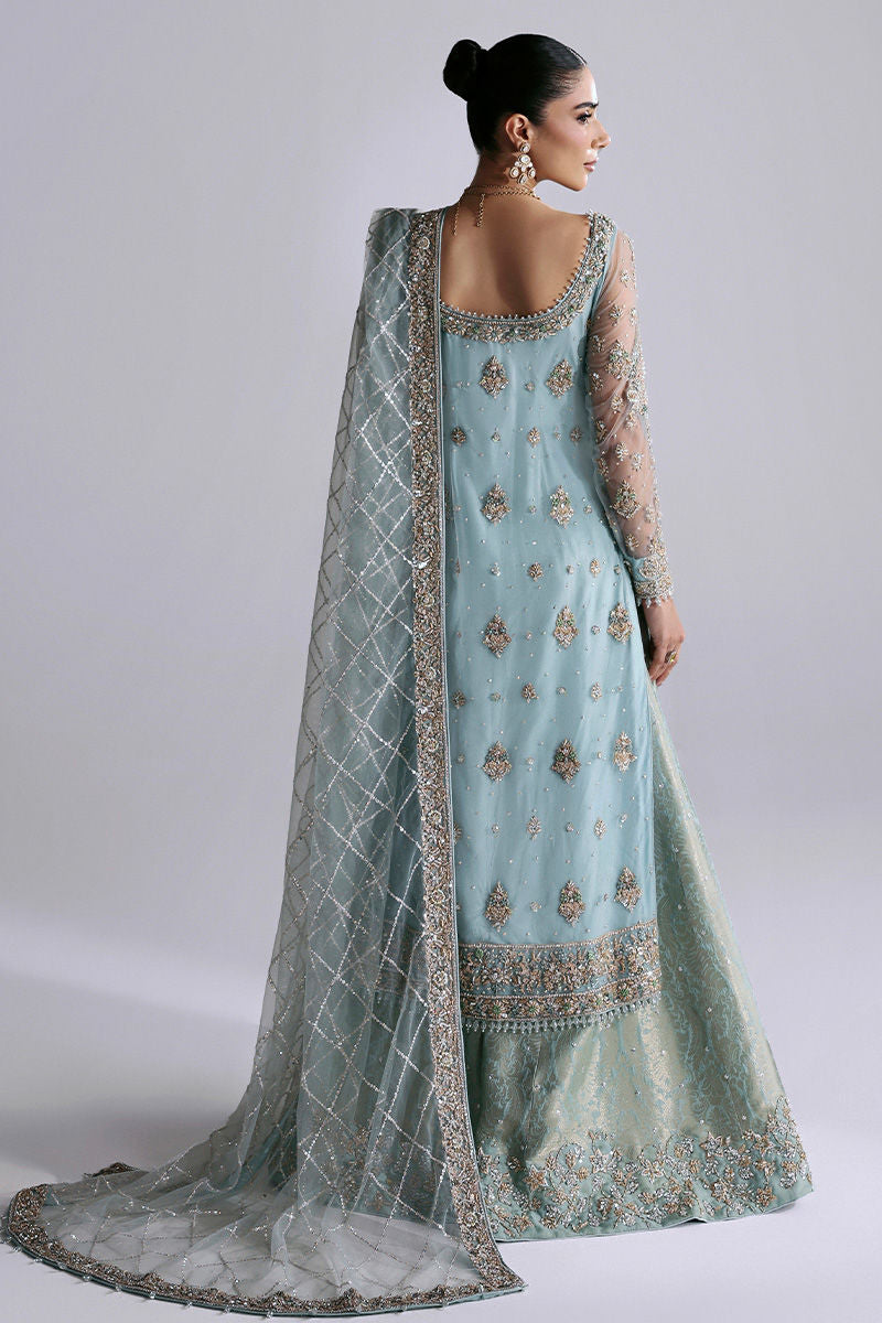 Zayra, made by MAIRAZ — full-length back view showing shirt motifs and dupatta border