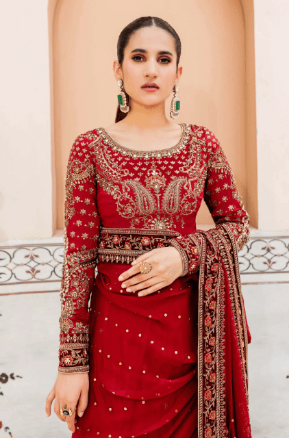 Maria B Mbroidered champagne saree style reference — additional view 3