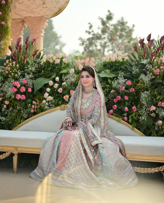 Nomi Ansari – Maryam Nawaz Pastel Style, reference image 1