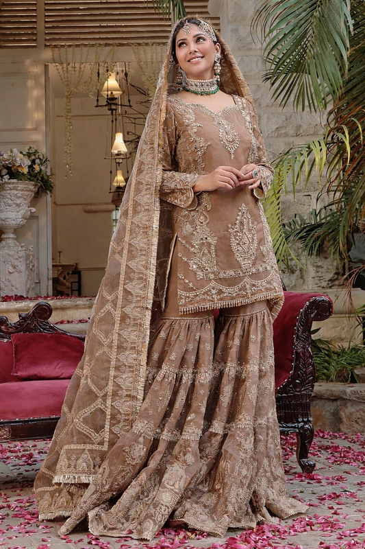 Naqshi Organza Style