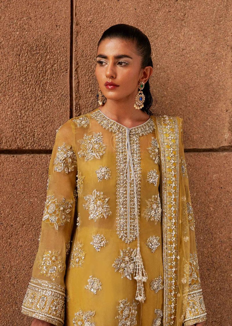 Hussain Rehar – Zesty Style, product view 2 of 9
