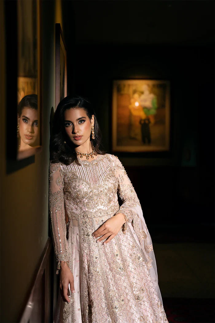 Saira Rizwan Rigel SRF-D-03 style blush embroidered formal maxi – product view 4