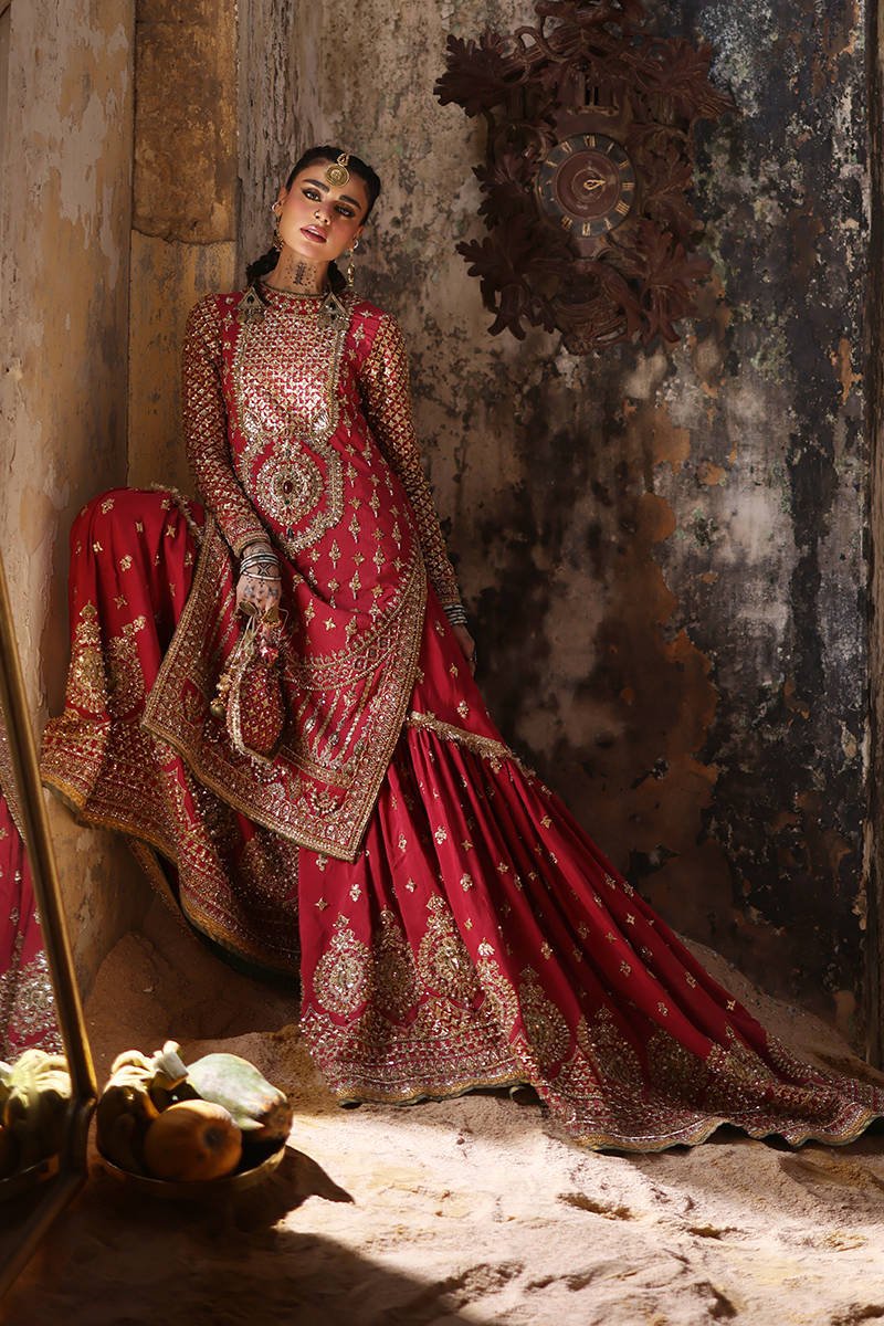Mohsin Naveed Ranjha Ruhi Begum Style — Mairaz Carrot Red Gharara