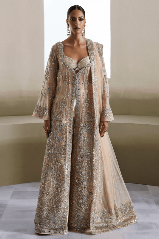 Soraya Aurene Style by Mairaz, beige net formal ensemble, product view 1