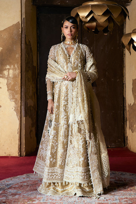 Suffuse Gulraiz Gold with off-white accents — full front, design reference