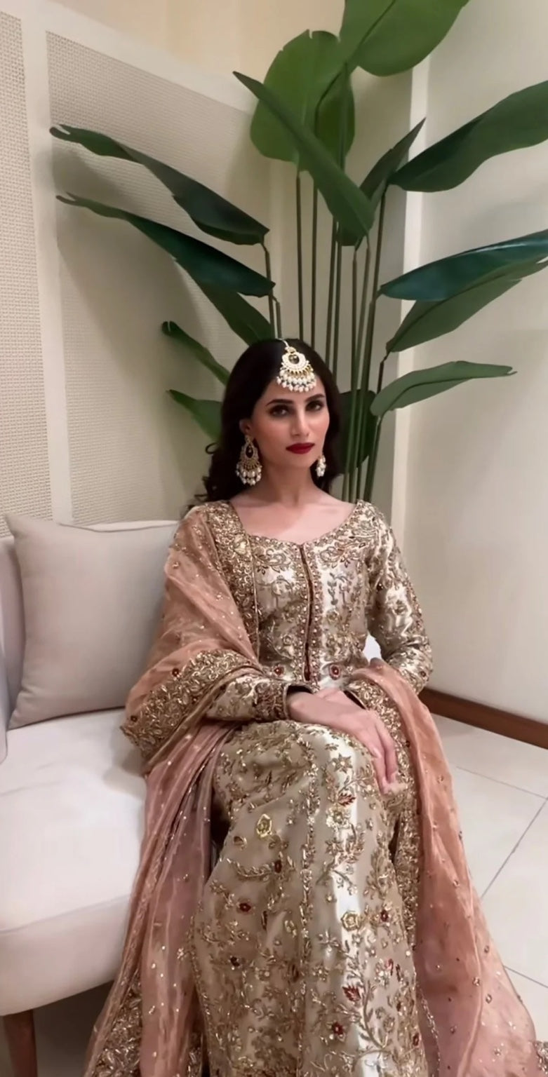 Zeeshan Danish Dilruba Style seated close view with blush embellished dupatta